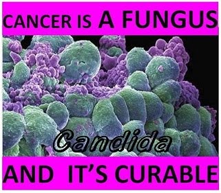 CancerFungusCandidaMed