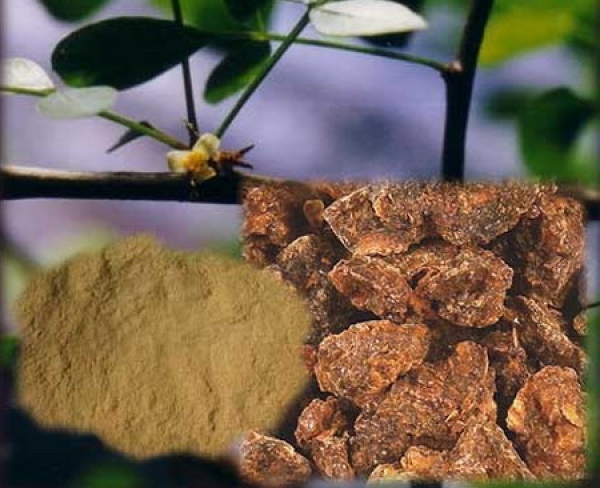 Remedii pentru curatarea si dezintoxicarea rinichilor 14 smirna 1