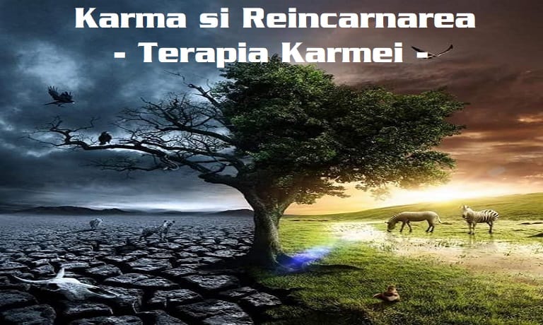 Karma si Reincarnarea – Terapia Karmei