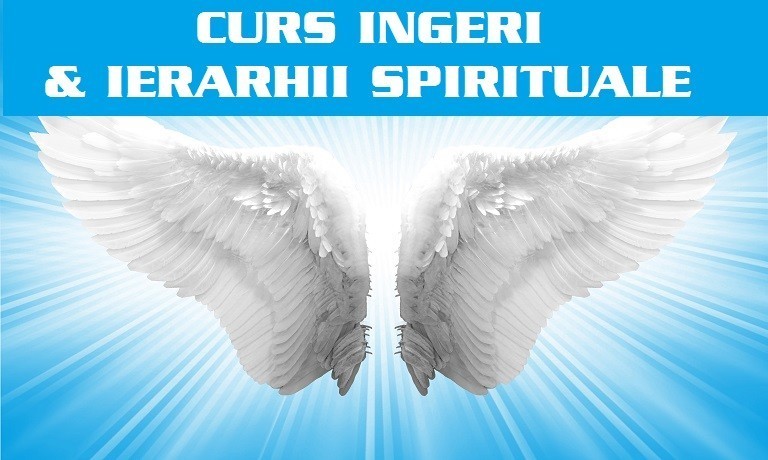 CURS CONECTARE INGERI 8 curs ingeri2