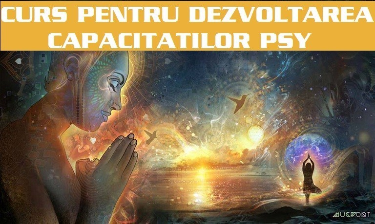 Curs Dezvoltarea Capacitatilor PSY 1 curs dezvoltarea capacitatilor psy2