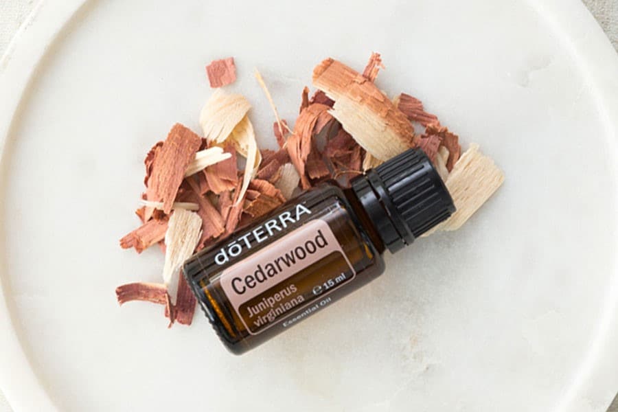 Cedru / Cedarwood - Ulei Esențial Pur - grad terapeutic 1 Cedru