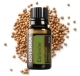 Coriander / Coriandru (sămânță)- Ulei Esențial Pur - grad terapeutic 18 coriandru coriander doterra