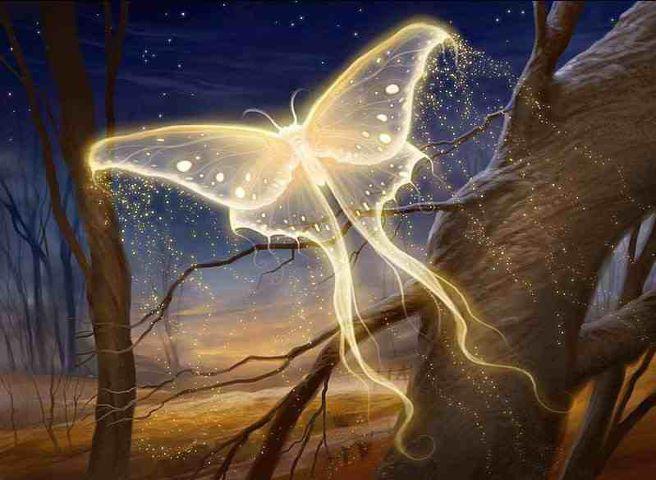 Meditatie De Curatare A Karmei - Dezlegare De Juraminte 1 402354 343125142374718 100000317042264 1172201 19271590 n