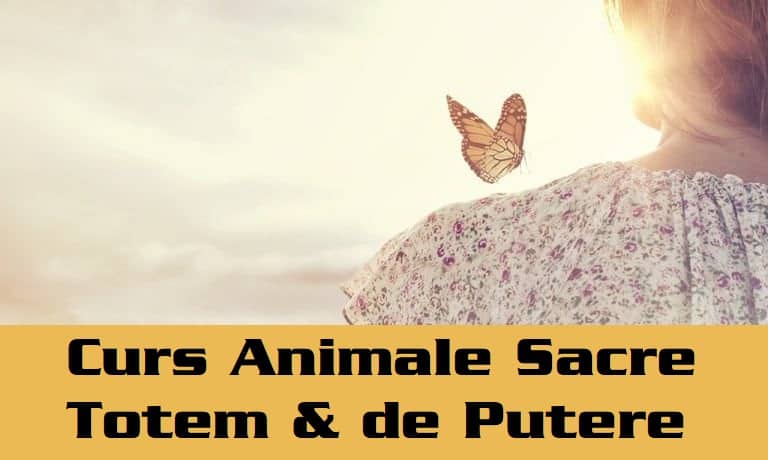 Curs & Initiere Animale Sacre / Totem & Animale de Putere 1 Curs si Initiere Animale Sacre Totem si Animale de Putere