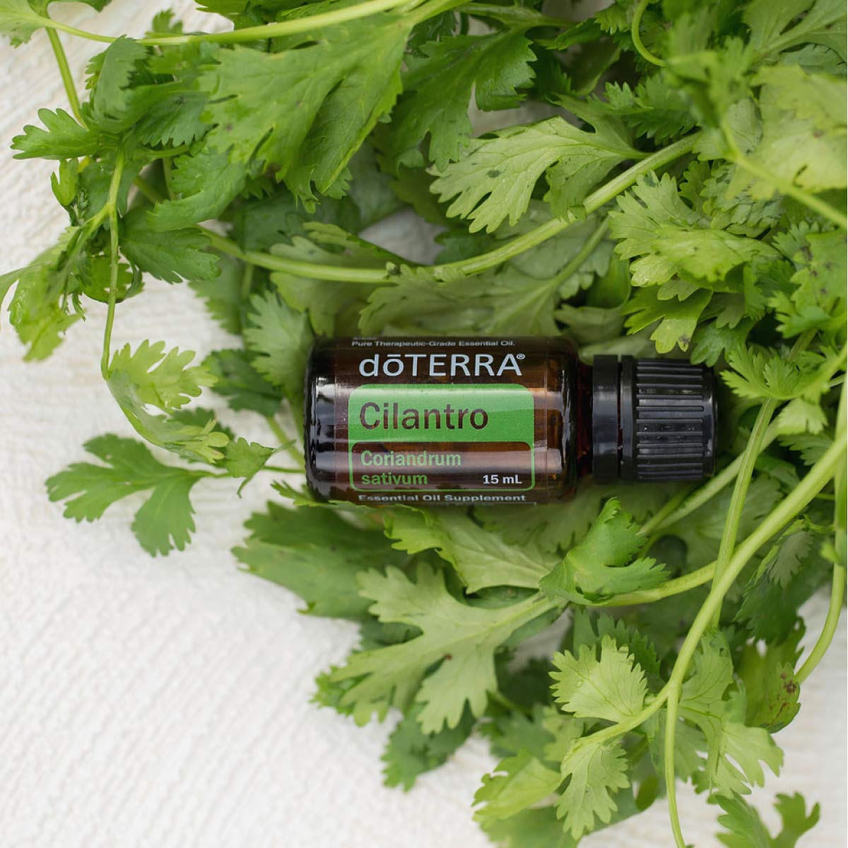 Cilantro / Coriandru (frunză)- Ulei Esențial Pur - grad terapeutic 1 cilantro coriandru frunza