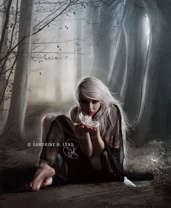 Evolutie Spirituala - Sa va intrebati din cand in cand...despre nivelul vostru actual de evolutie spirituala 37 1482779 658597307514666 1966888358 n 1