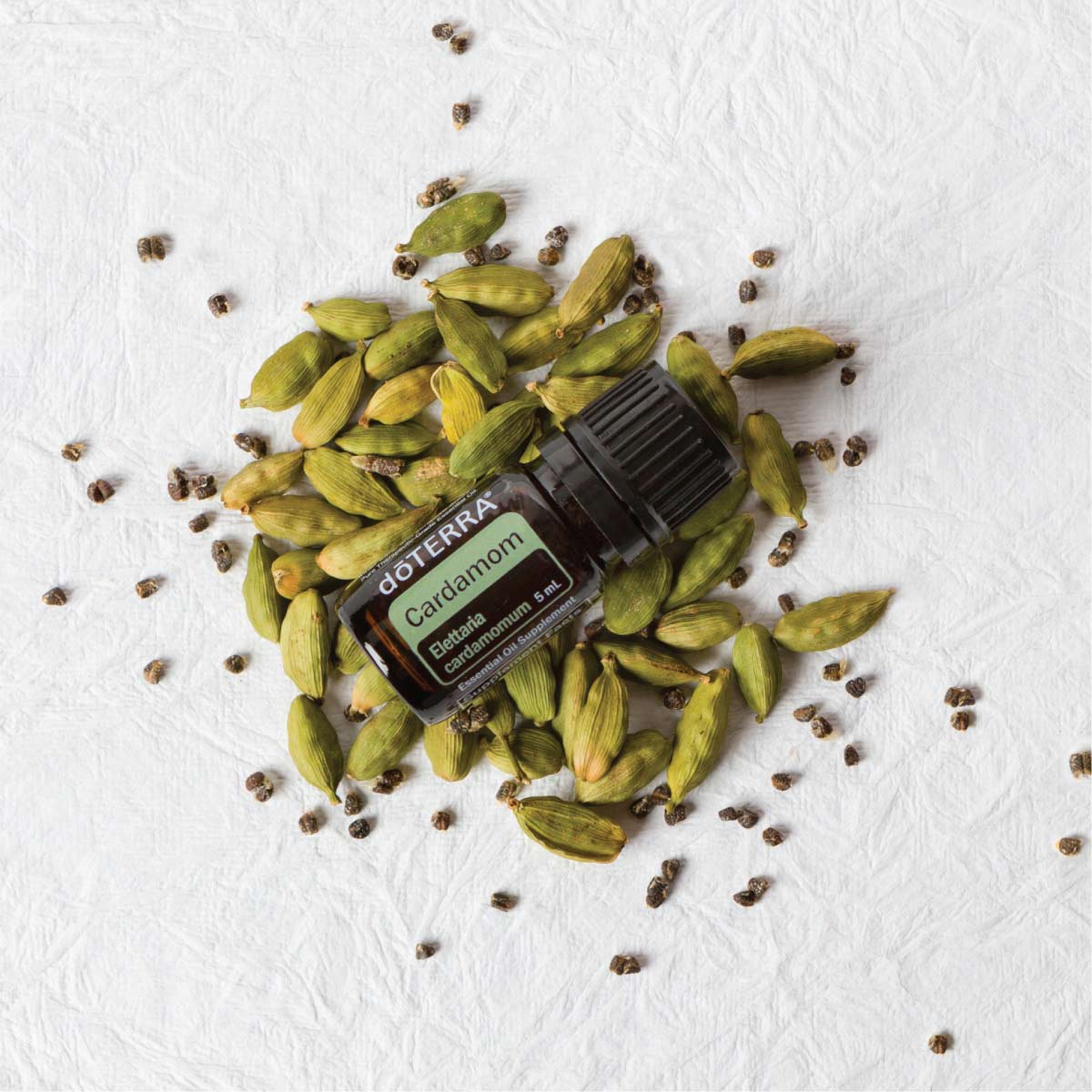 Cardamom