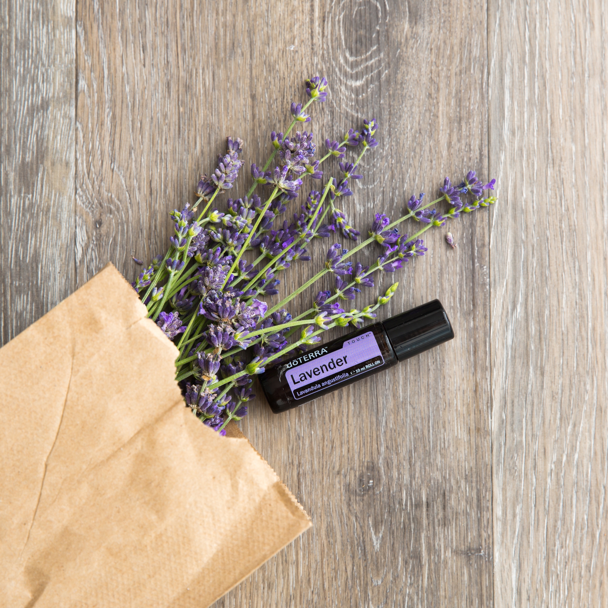Lavender Touch (Levănţică) - Ulei Esențial Pur - grad terapeutic 1 EU Lavender Touch 10 ml 1