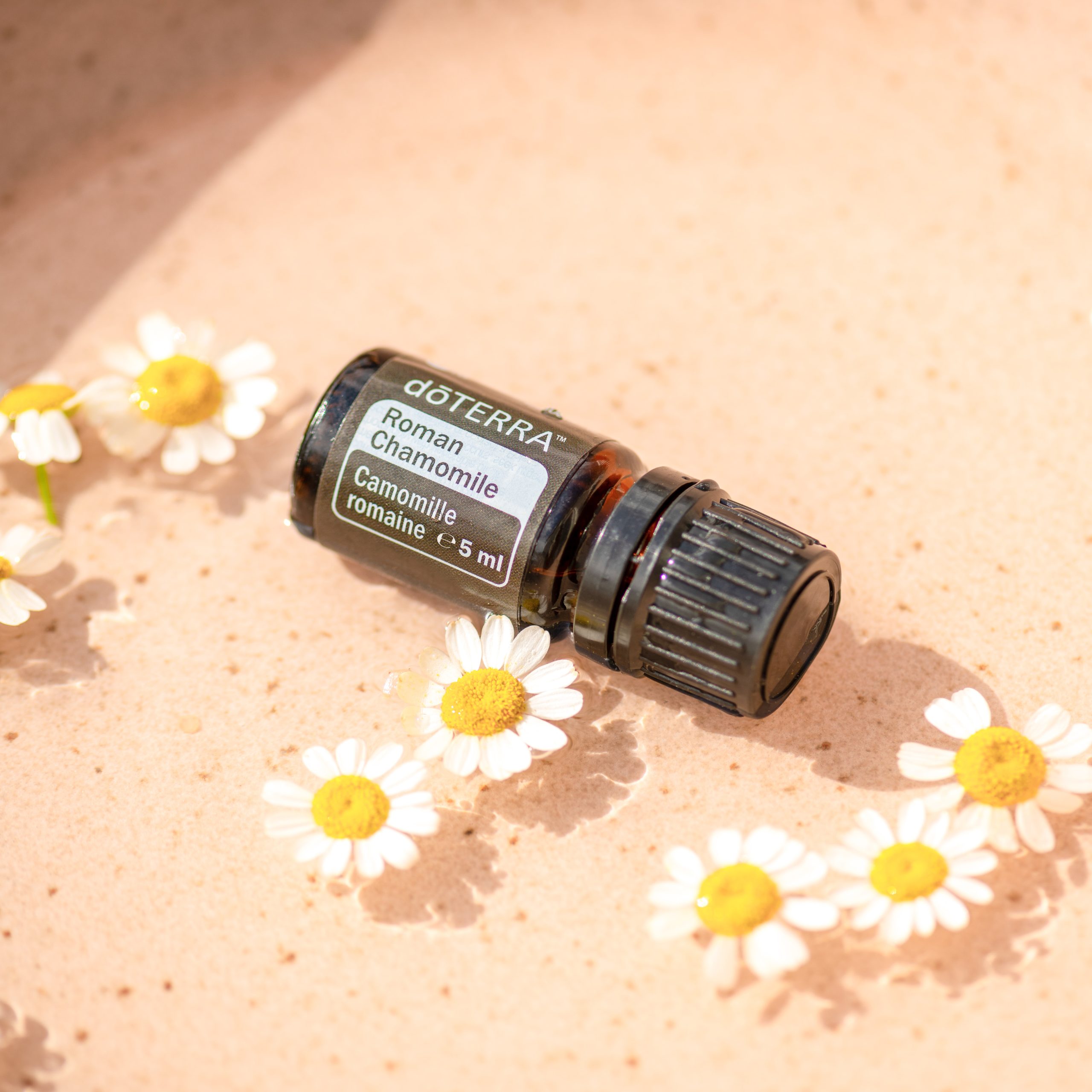 EU Roman Chamomile 5 ml 5 scaled 1