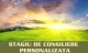 STAGIU DE CONSILIERE PERSONALIZATA 3