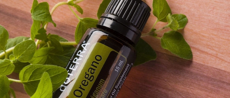 doTERRA Oregano 15ml 1