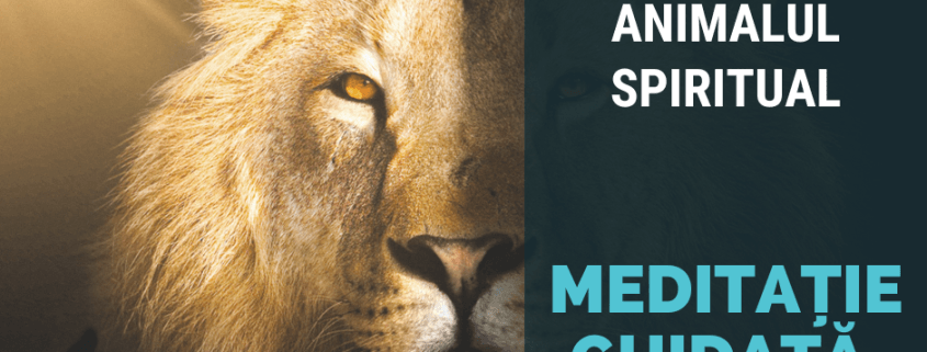 Meditație Ghidata Vocal - Găsește-ți Animalul Spiritual 1 meditatie Gaseste ti Animalul Spiritual