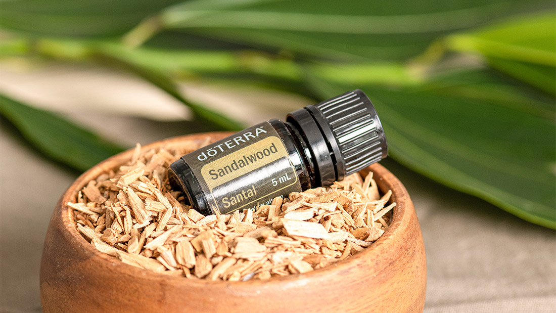 sandalwood santal doterra