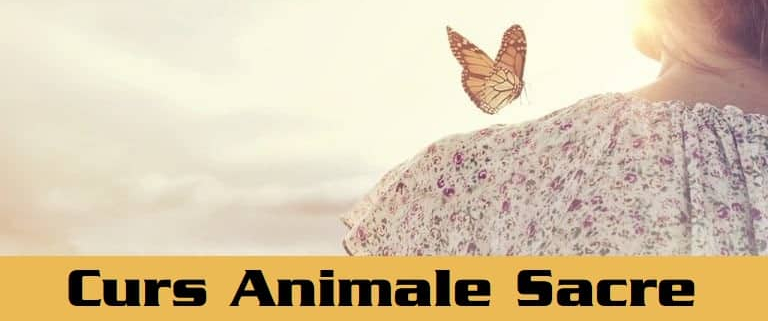 Curs si Initiere Animale Sacre Totem si Animale de Putere