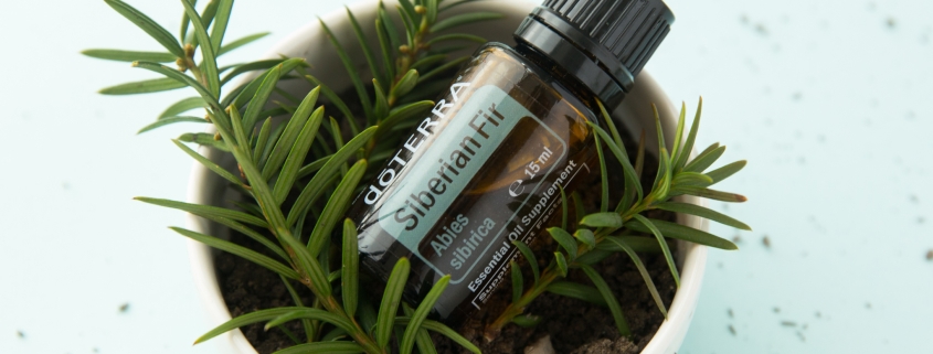 EU Siberian Fir 15 ml 1