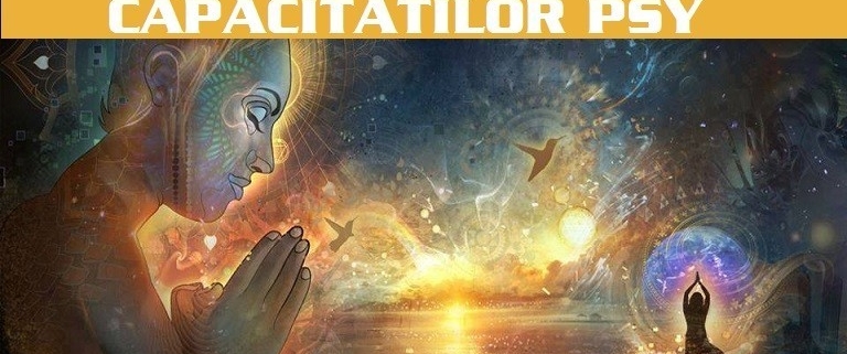 curs dezvoltarea capacitatilor psy2 10