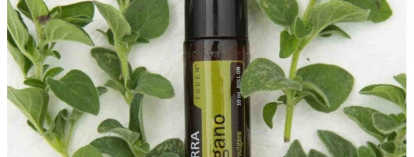 doterra oregano touch roll on