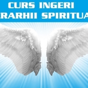 curs ingeri2 1