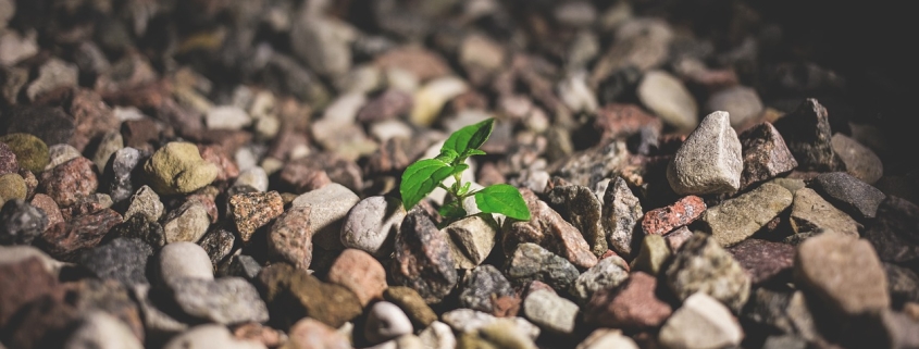 city gaef2ed19b 1280