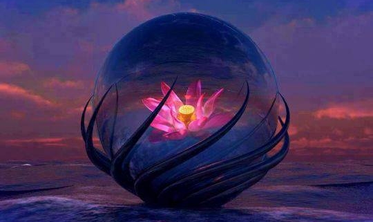 934834 440627239367690 1724892108 n