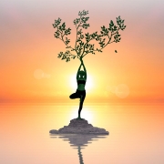 woman 4607378 1280 1