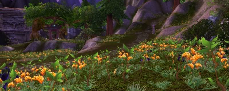 Meditatie de conectare la Elementul Pamant - Initierea Pamantului 1 Meditatie de conectare la Elementul Pamant Initierea Pamantului