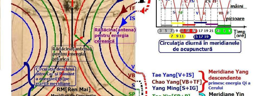 Meridianele energetice si importanta lor in sanatatea individului 1 meridiane energetice