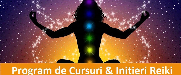 initieri reiki curs program de initieri online acces 4 lectii luna
