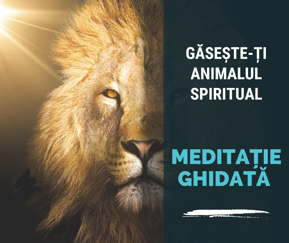 Meditație Ghidata Vocal - Găsește-ți Animalul Spiritual 68 meditatie ghidata vocal gaseste ti animalul spiritual