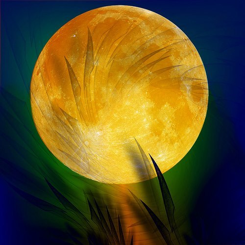 228122 516130001748472 623154476 n