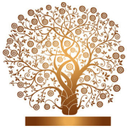 3a27c586296f9cdb115a34389d7a8dbf