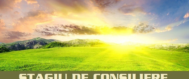 stagiu de consiliere personalizata servicii premium acces 4 sedinte luna
