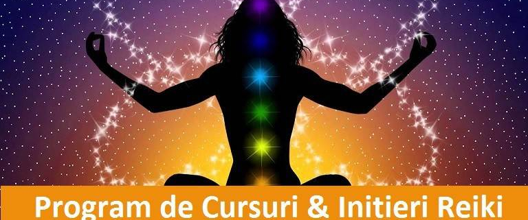 initieri reiki curs program de initieri online acces 2 lectii luna 1