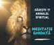 meditatie ghidata vocal gaseste ti animalul spiritual