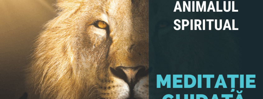 meditatie ghidata vocal gaseste ti animalul spiritual
