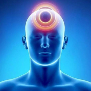 10371508 574104399373568 6732853286958003196 n