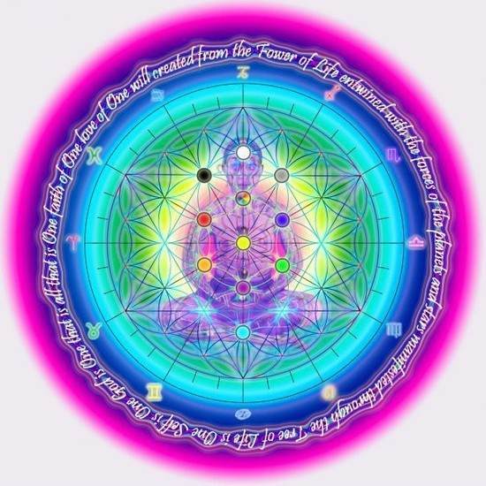 1ea02bad32b222a84c878dbbdbe24628