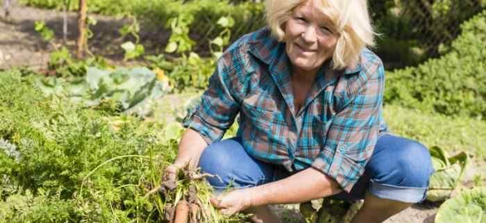 gradinaritul cultivand starea de bine si echilibrul interioar