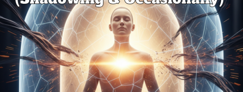 Protectie Energetica Dedicata Shadowing Occasionally